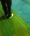 IMG 0382