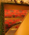 IMG 4334