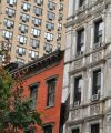 IMG 4529