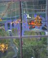 IMG 4998