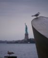 IMG 5049
