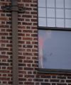 IMG 5142