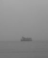 IMG 7310.JPG