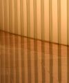 IMG 7366