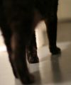 IMG 7778